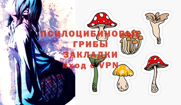 спиды Балахна