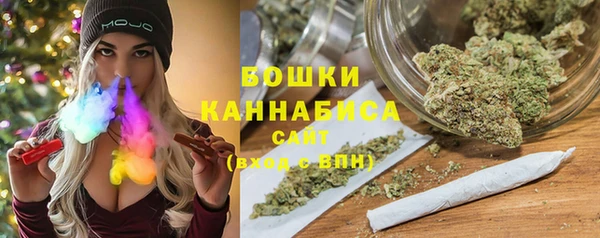 ГАЛЛЮЦИНОГЕННЫЕ ГРИБЫ Балабаново